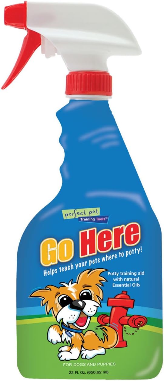 Davis Go Here Potty Training Aid, 22 oz